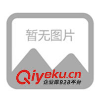 塑料打火機(jī)、金屬打火機(jī)、廣告打火機(jī)、磨砂打火機(jī)(圖)